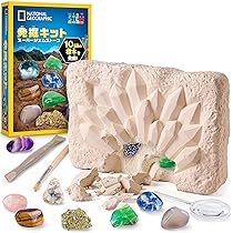 91sL+pm5paL._AC_UL210_SR210,